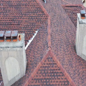 roof 2.jpg